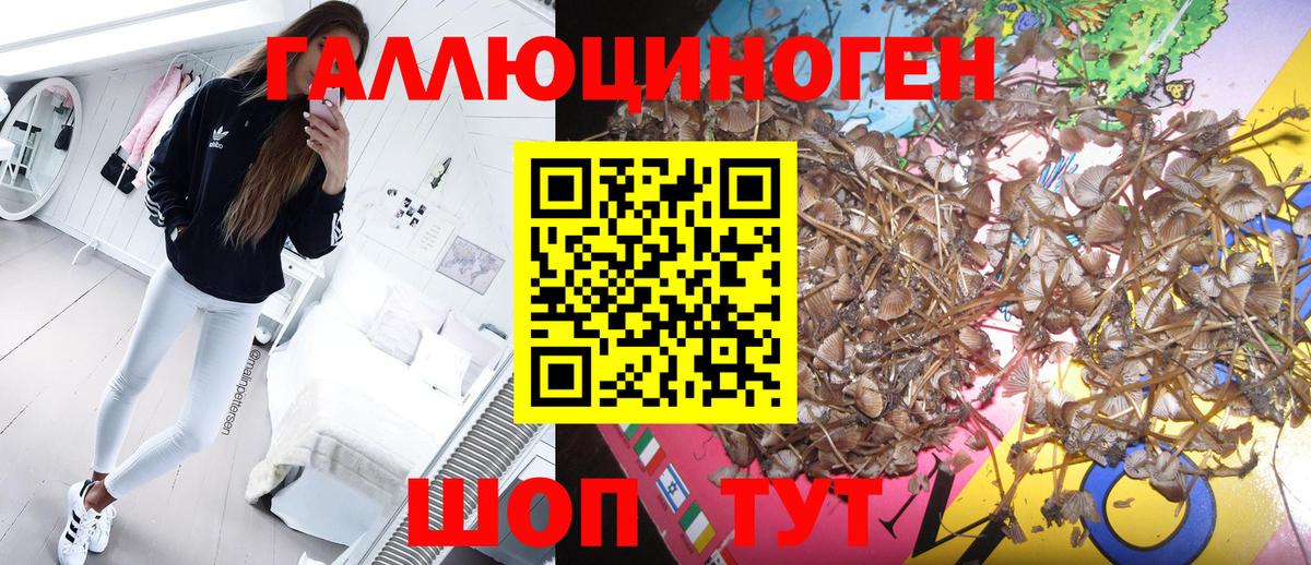 Псилоцибиновые грибы Magic Shrooms Рассказово