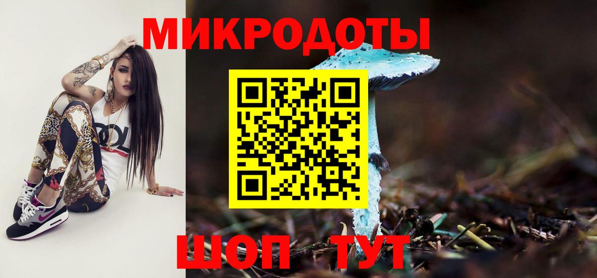 Рассказово  Псилоцибиновые грибы прущие грибы  наркота  Псилоцибиновые грибы ЛСД  Вход с VPN 